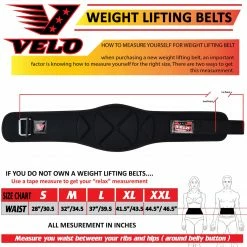 Velo Sport VELO™ POLYFOAM WEIGHTLIFTING BELT 40 Velo Sport VELO™ POLYFOAM WEIGHTLIFTING BELT