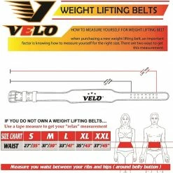 Velo Sport VELO™ WEIGHT LIFTING BELT 6IN. Belts