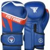 Fistrage USA Boxing All FISTRAGE BOXING GLOVES LEATHER SPARRING TRAINING MMA, MUAY THAI GLOVES
