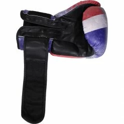 Revgear Thai Destroyer Boxing Gloves