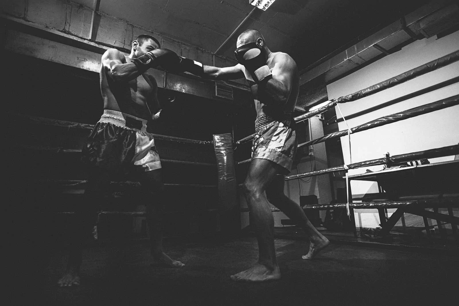 venture-theme-boxing Sales -venture-theme-boxing Sales